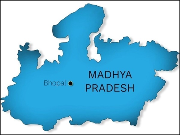 naidunia_image